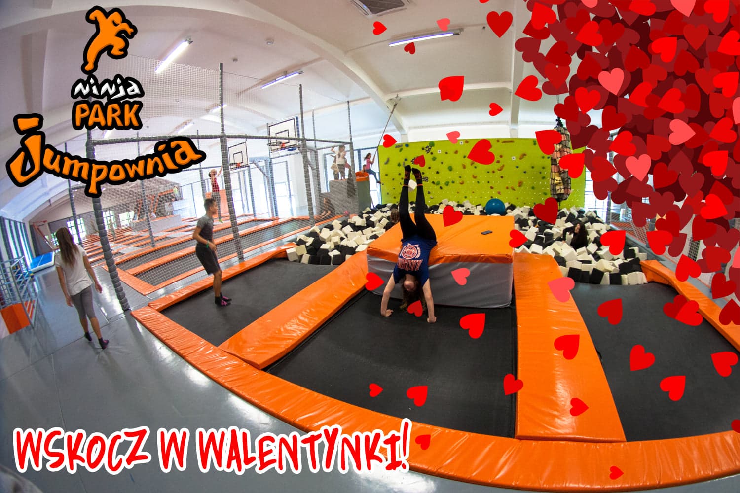 Ninja Park Jumpownia