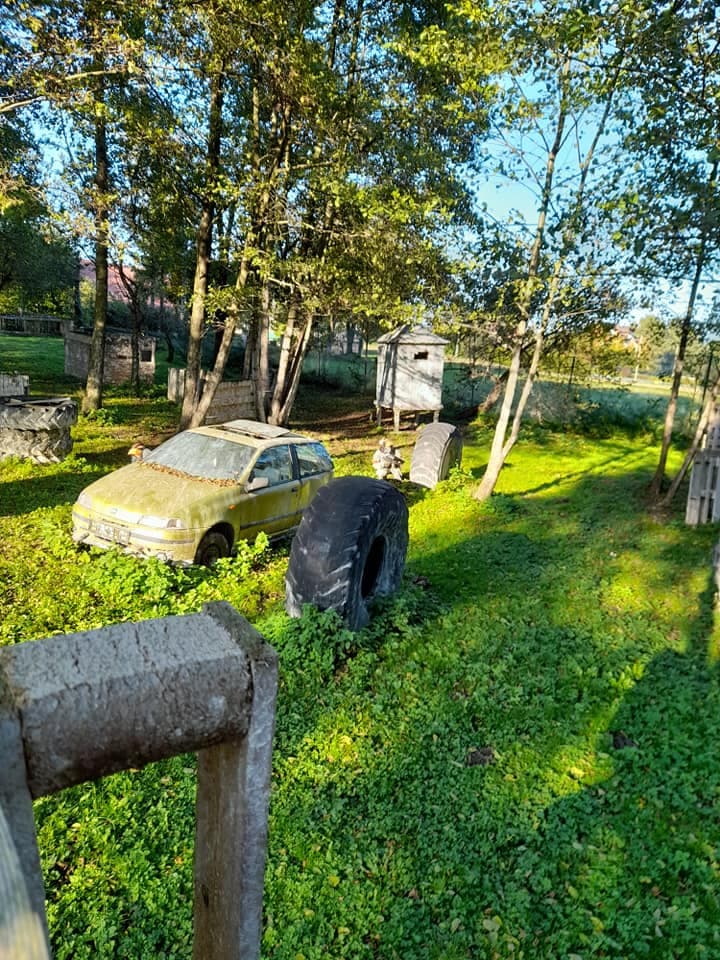 World of Paintball