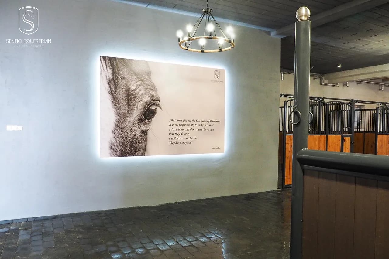Sentio Equestrian