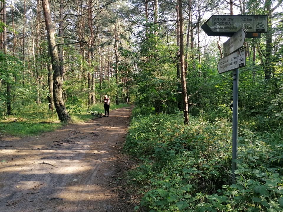 Pogoriada - wypożyczalnia rowerów elektrycznych
