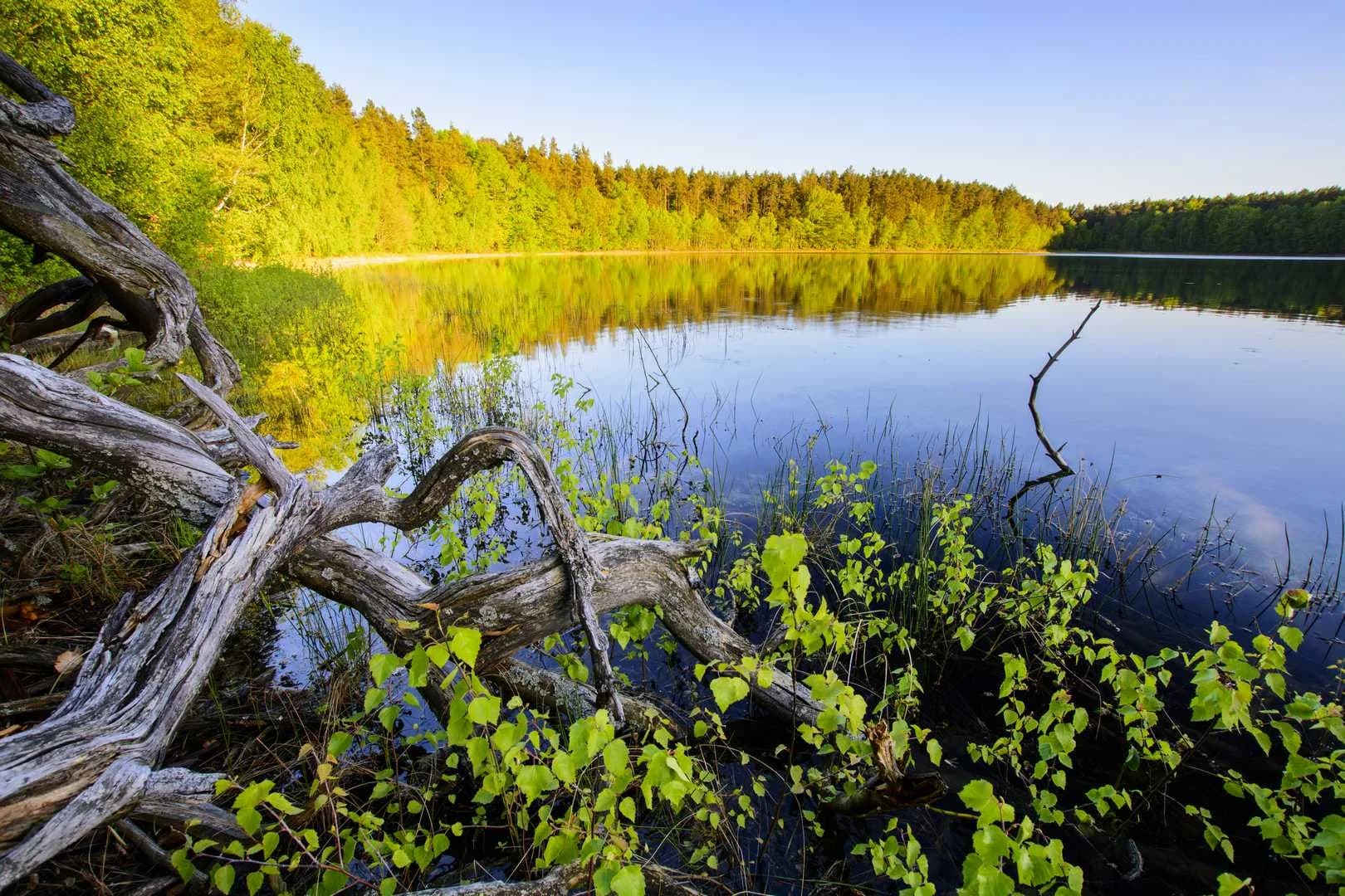 Mazury Zachodnie