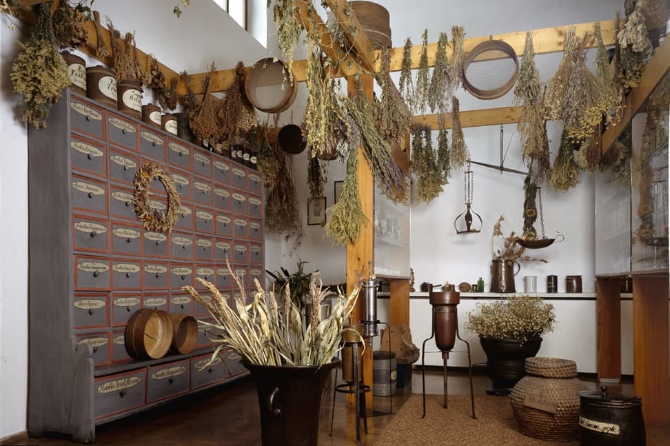 Muzeum Farmacji Uniwersytet Jagielloński Collegium Medicum