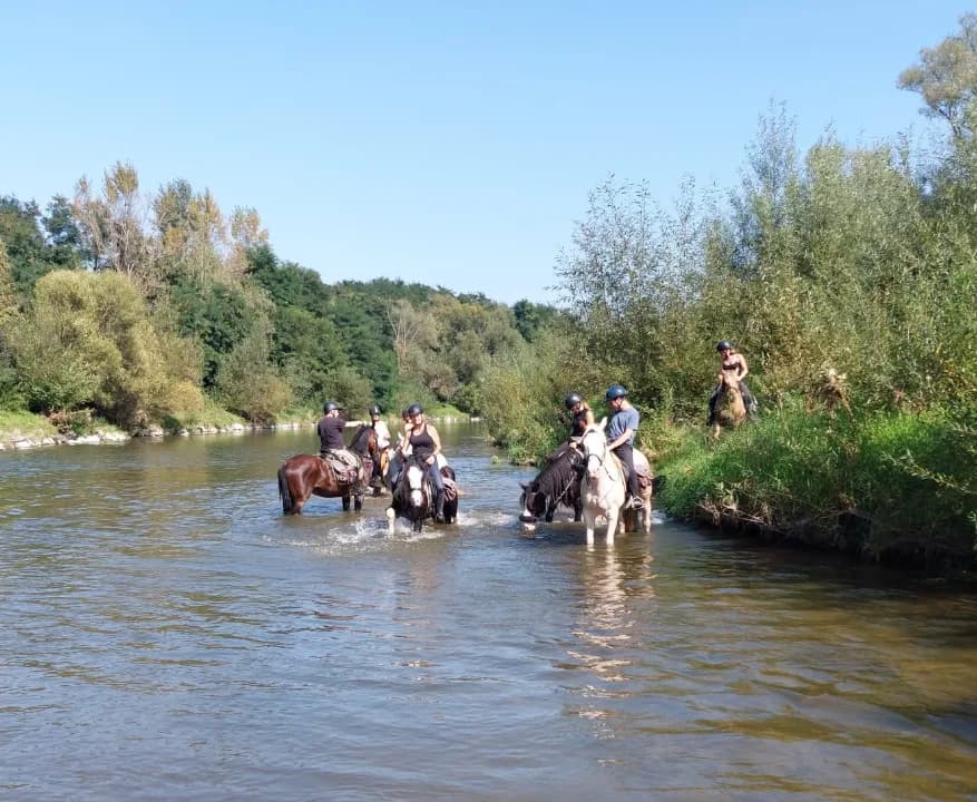 Zaczarowane Wzgórze Ośrodek jeździecki