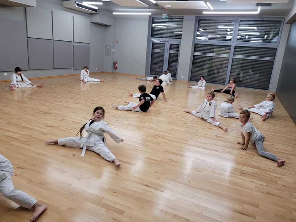 Wielicka Szkoła Sztuk Walki Ju Jitsu