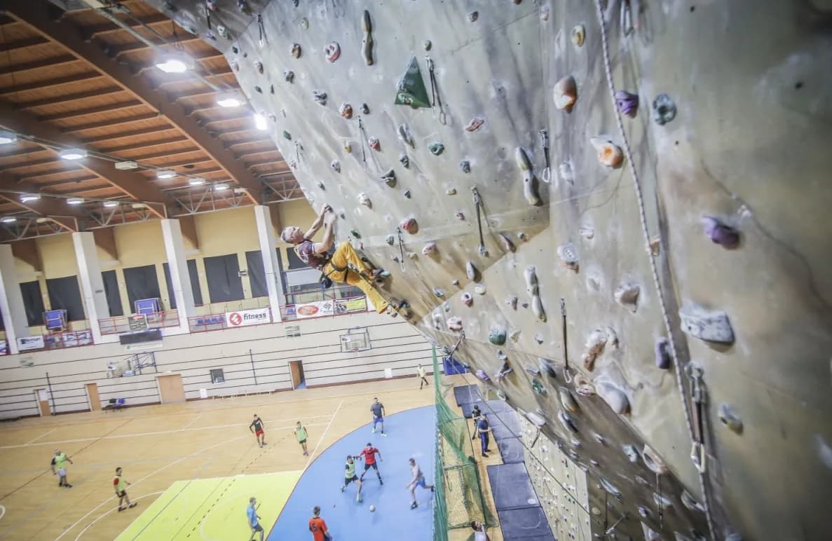 Ścianka wspinaczkowa przy Hali Widowiskowo - Sportowej