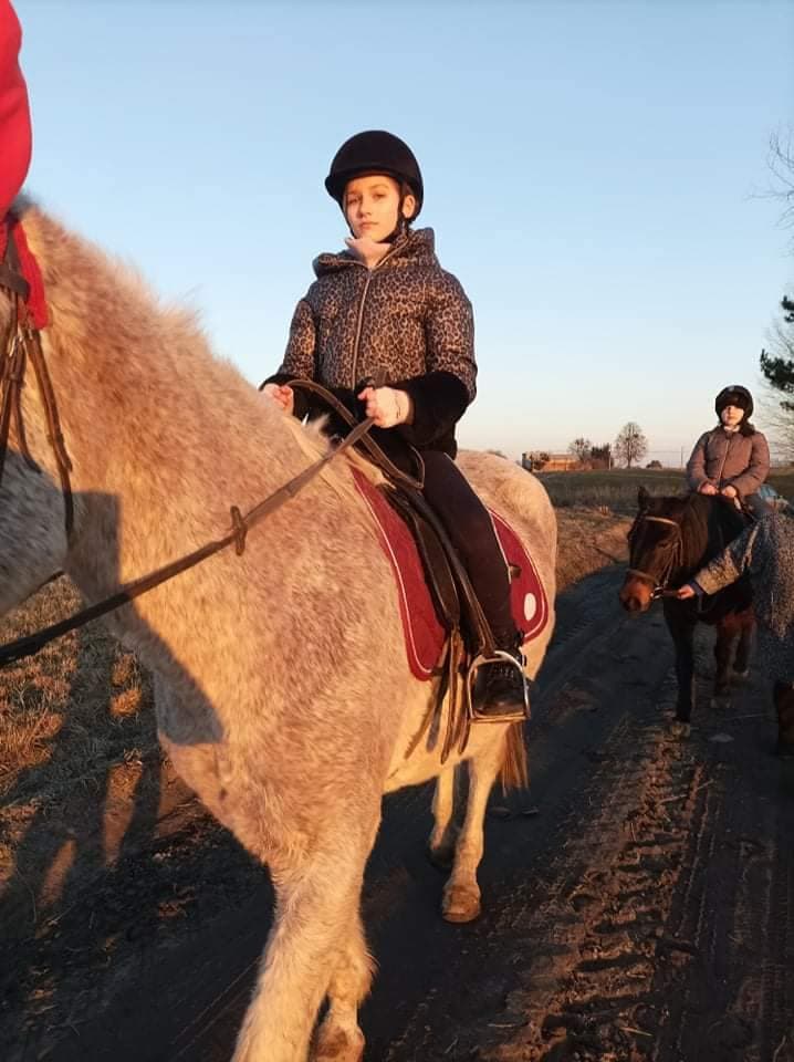 Stajnia Huragan Raj
