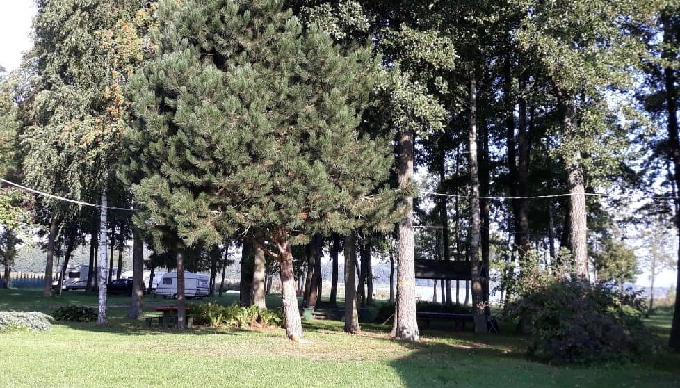 Camping Rydzewo