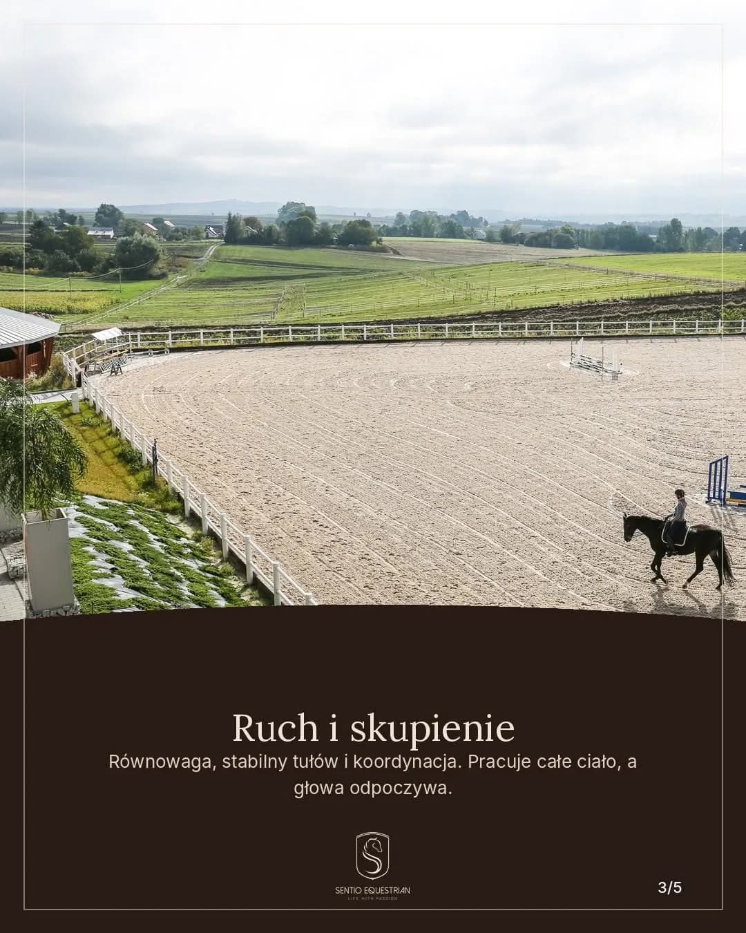 Sentio Equestrian