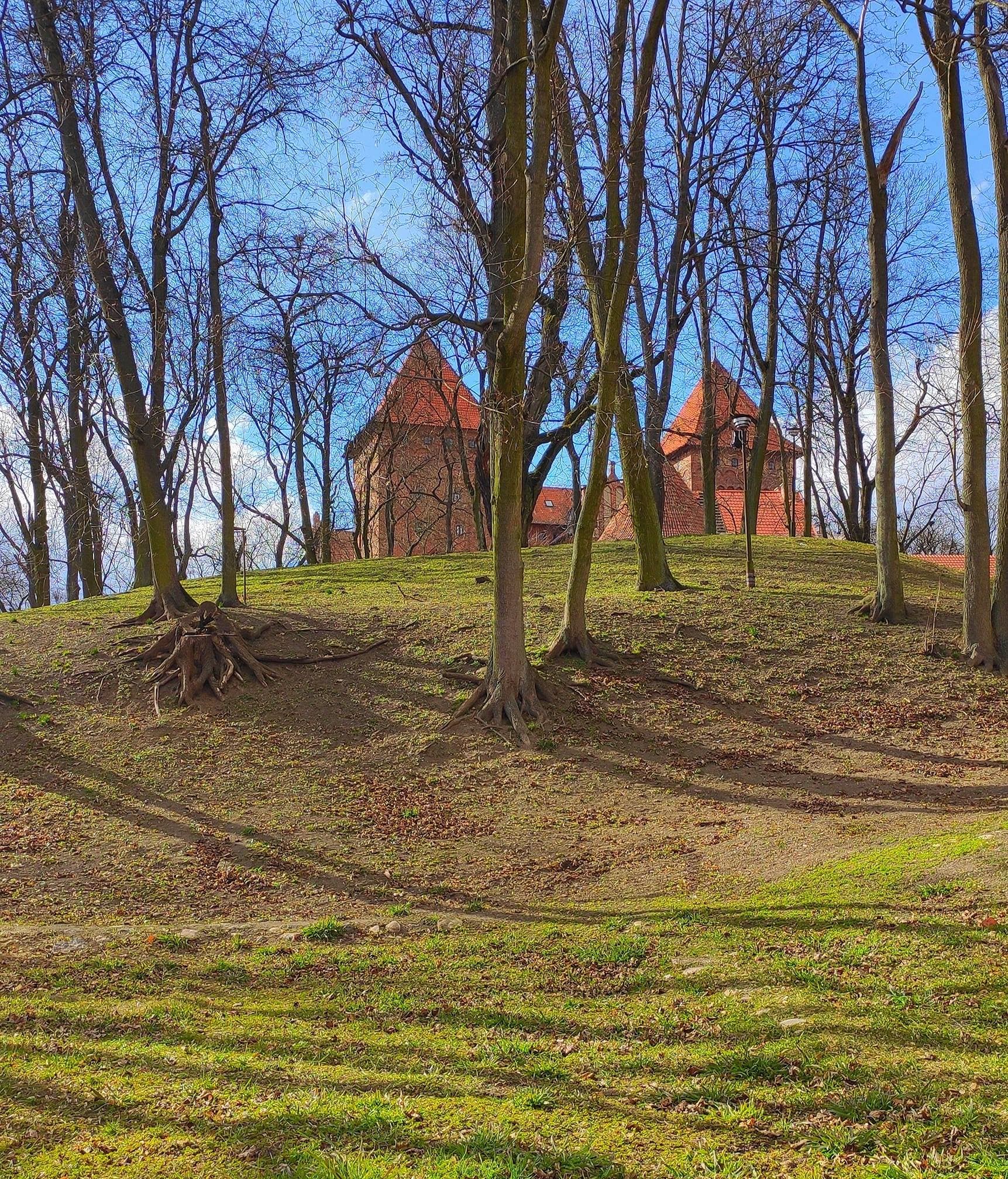 Zamek Nidzica