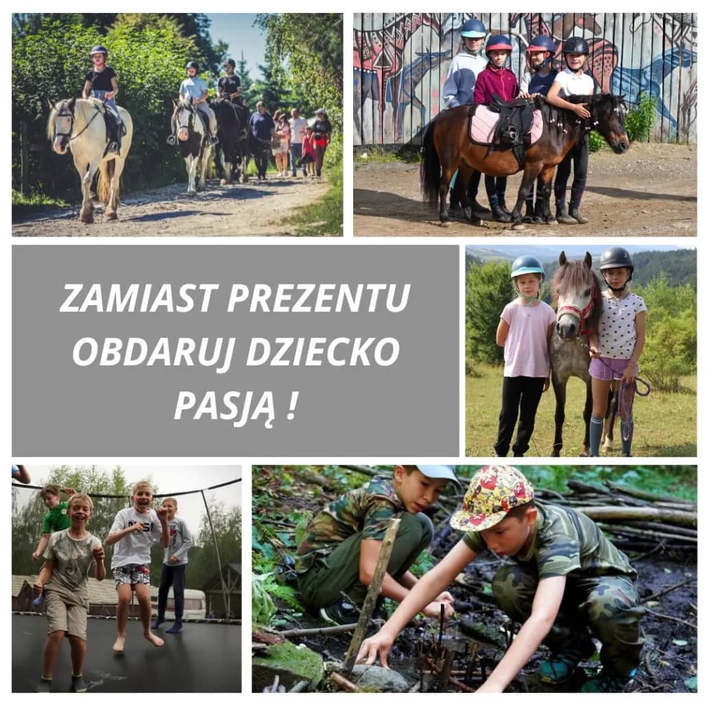 Zaczarowane Wzgórze Ośrodek jeździecki
