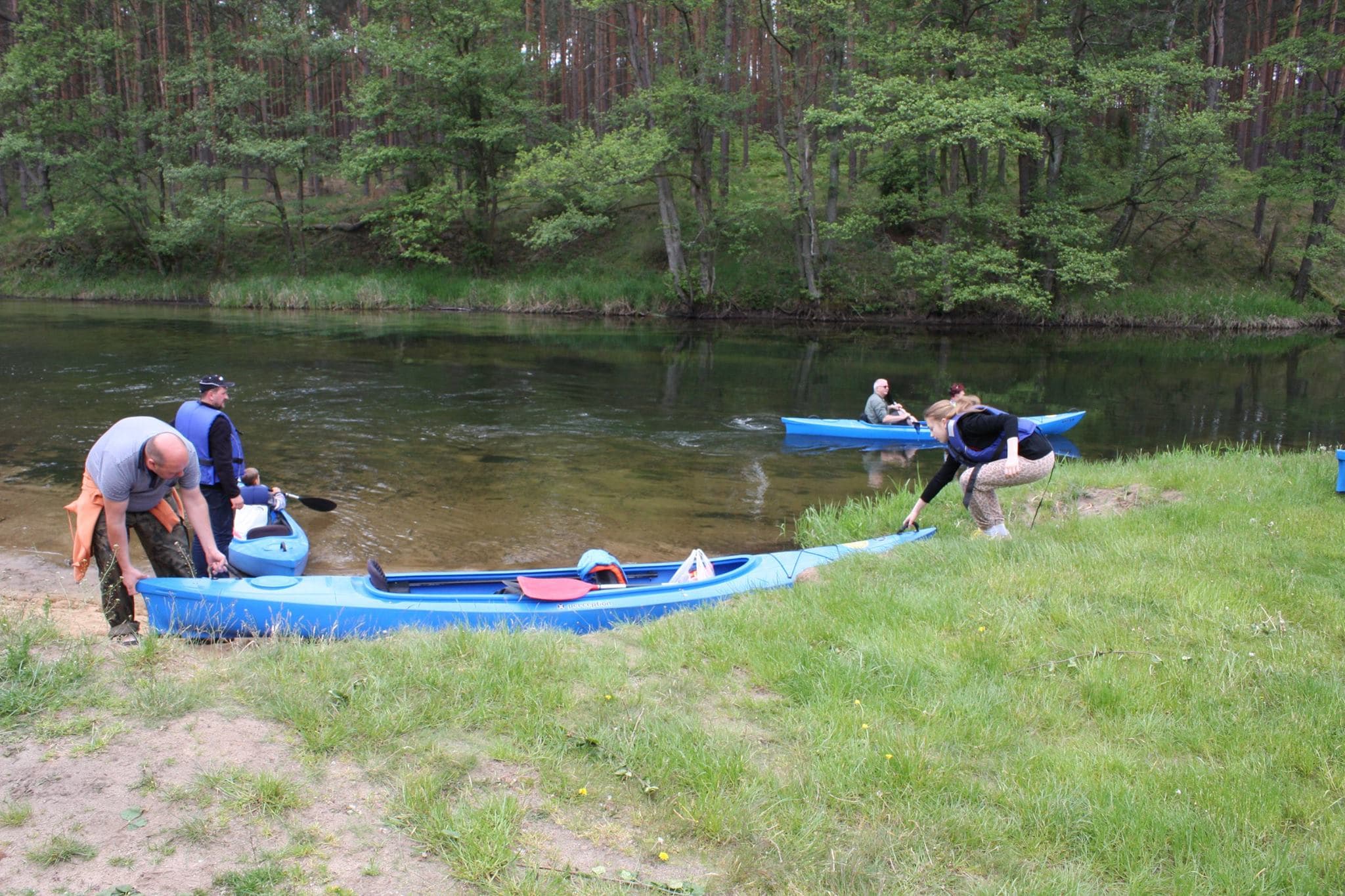 Spływy kajakowe Brdą