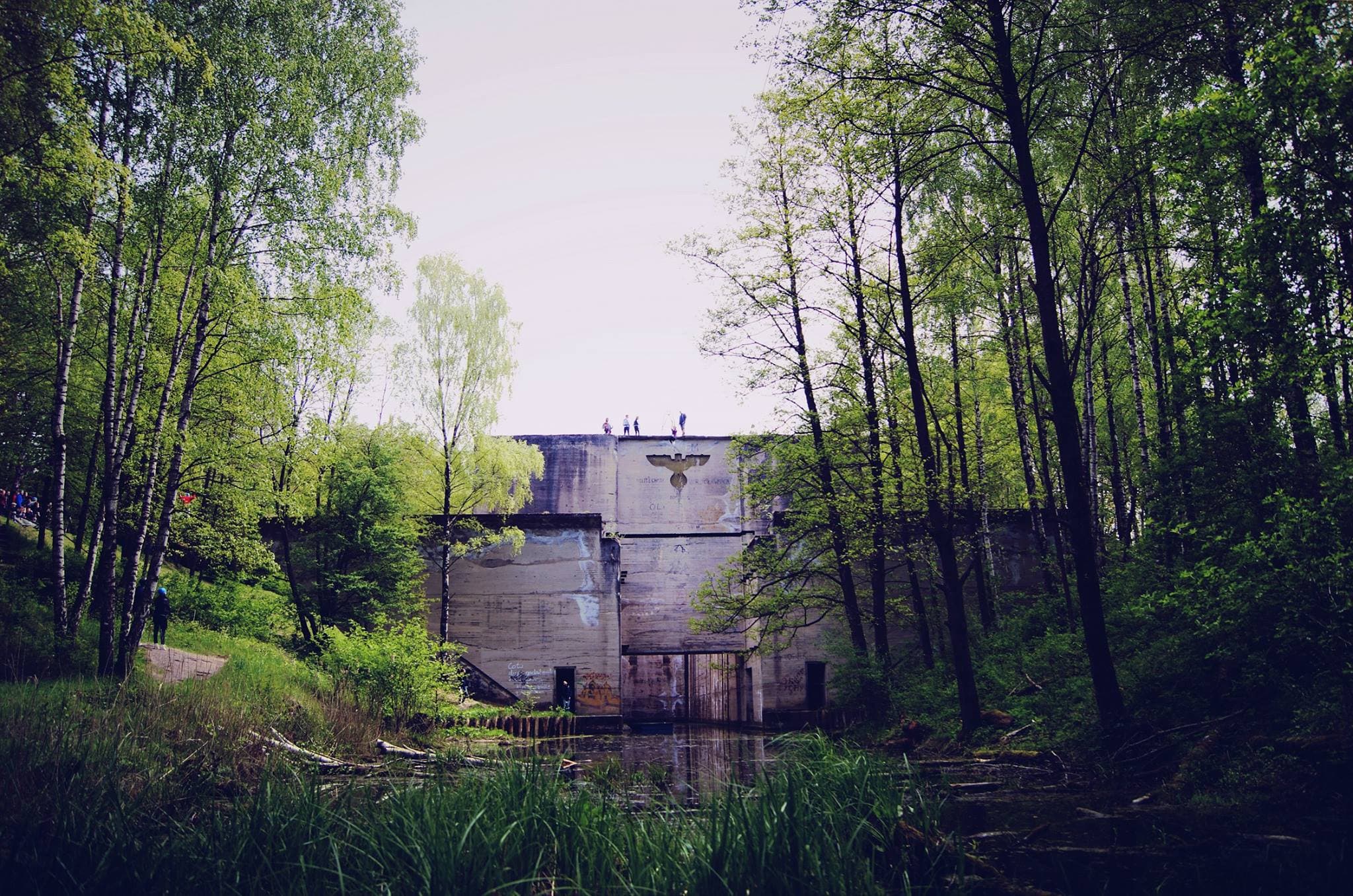 Park Linowy Leśniewo