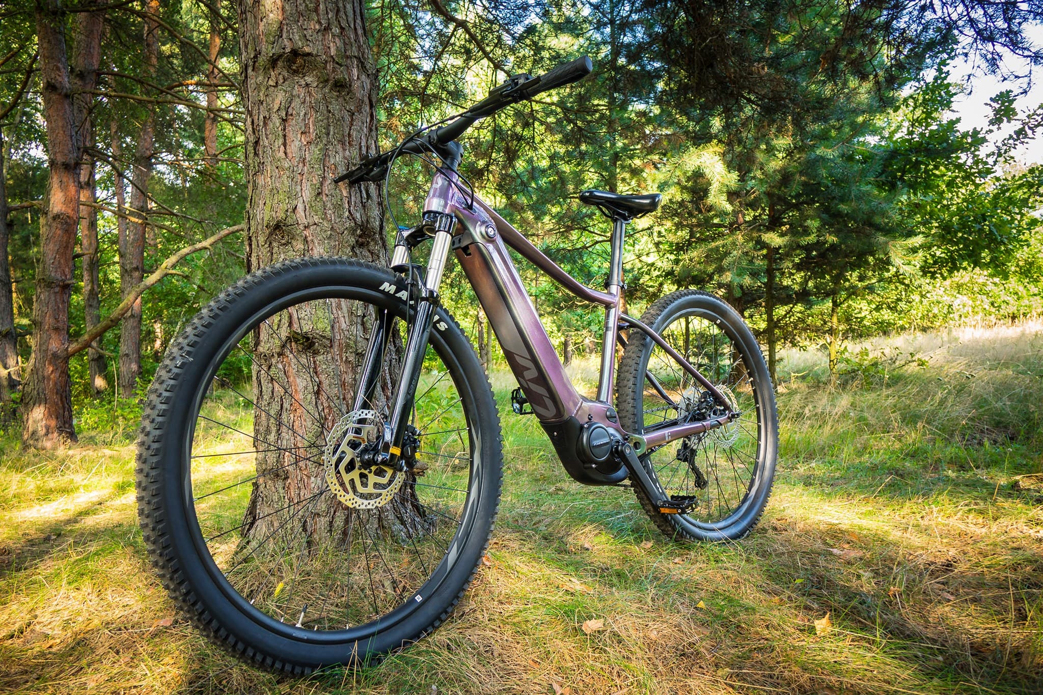 Pogoriada - wypożyczalnia rowerów elektrycznych