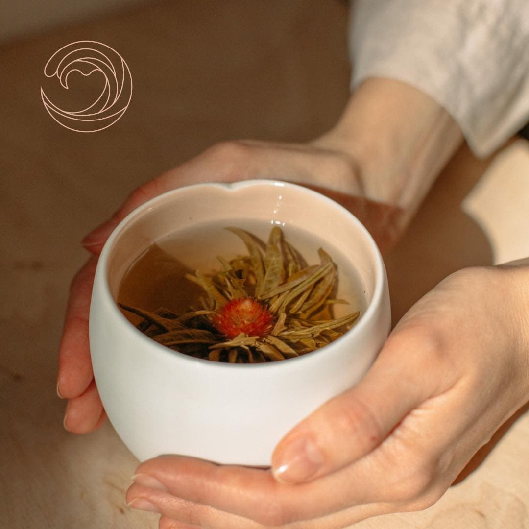 InSPA-spa