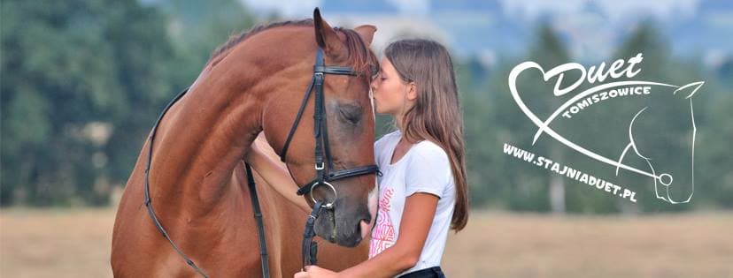 Konie - Stajnia Duet Tomiszowice