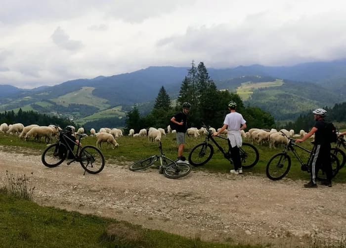 Wypożyczalnia Rowerów Polaczyk- rowery, e-bike, e-hulajnogi