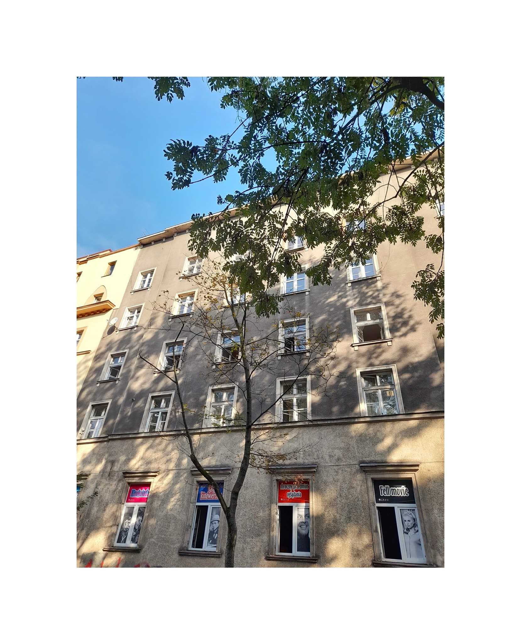 Kino Mikro