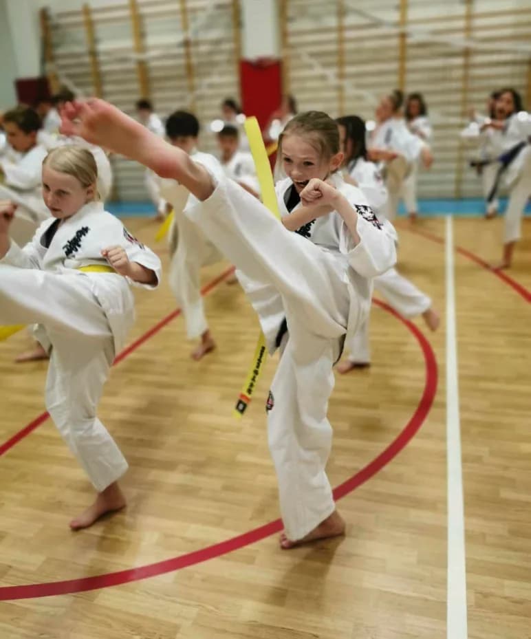 Myślenicka Akademia Karate "Byakko"