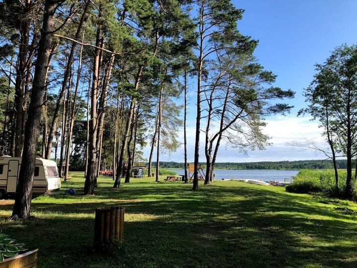 Pole namiotowe Leśna Polana