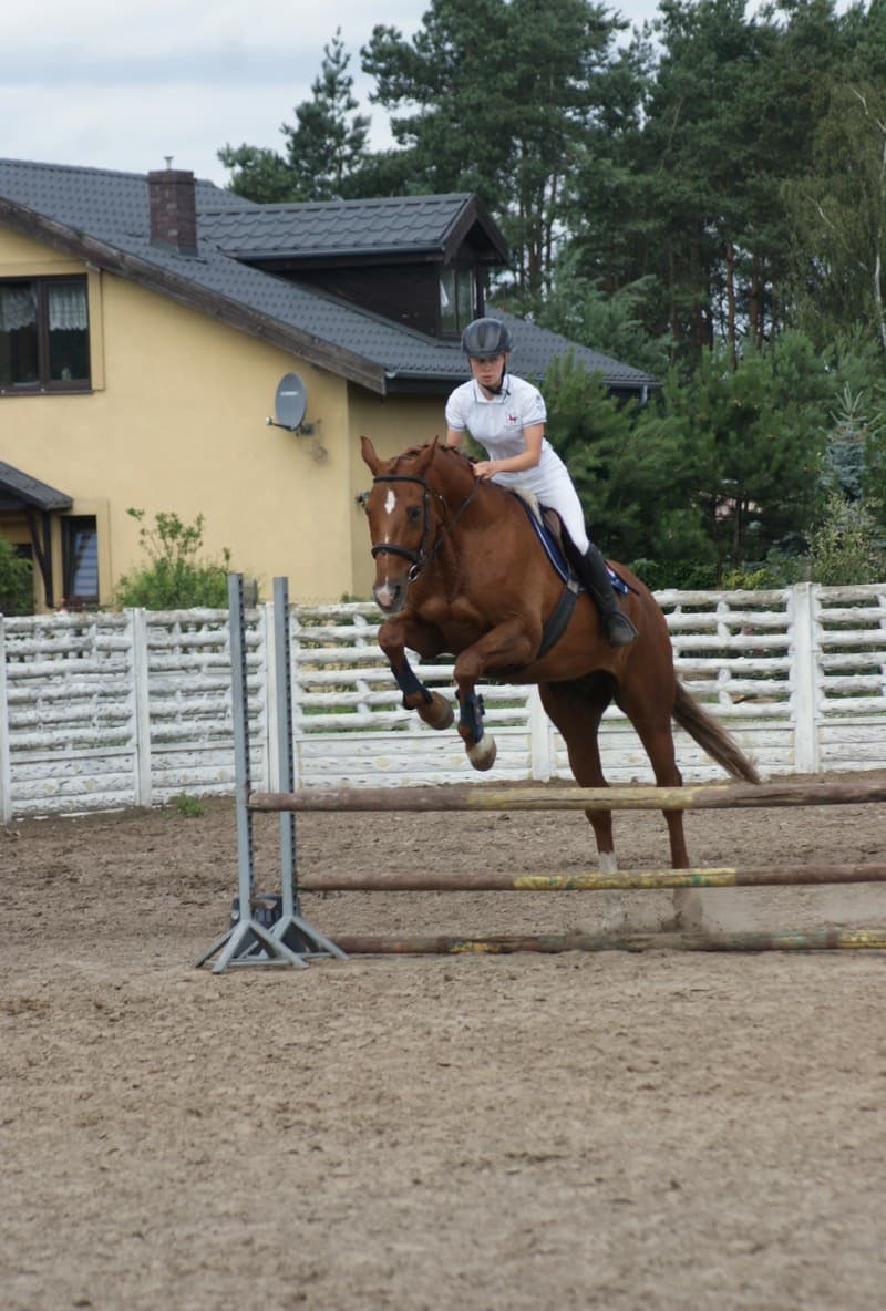 Stajnia Raduszyn