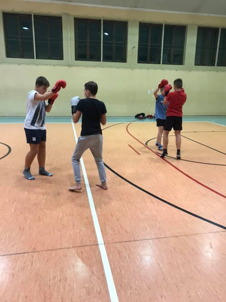 Tiger - Instinct Klub Kickboxing Boks