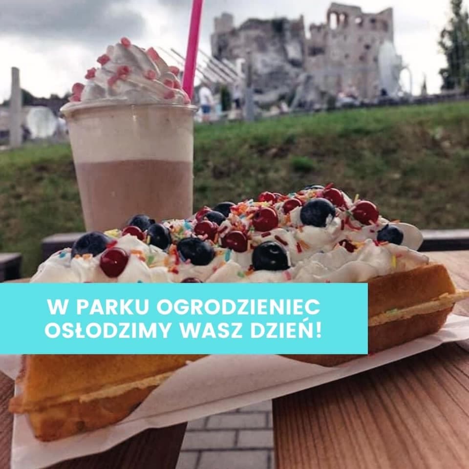 Park Ogrodzieniec - Nr 1 w Zabawie i Edukacji