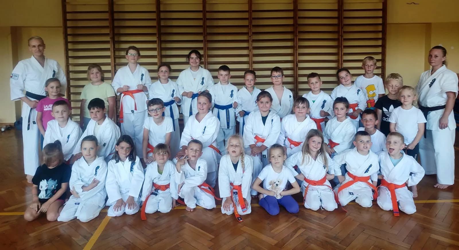 Limanowski Klub Kyokushin Karate