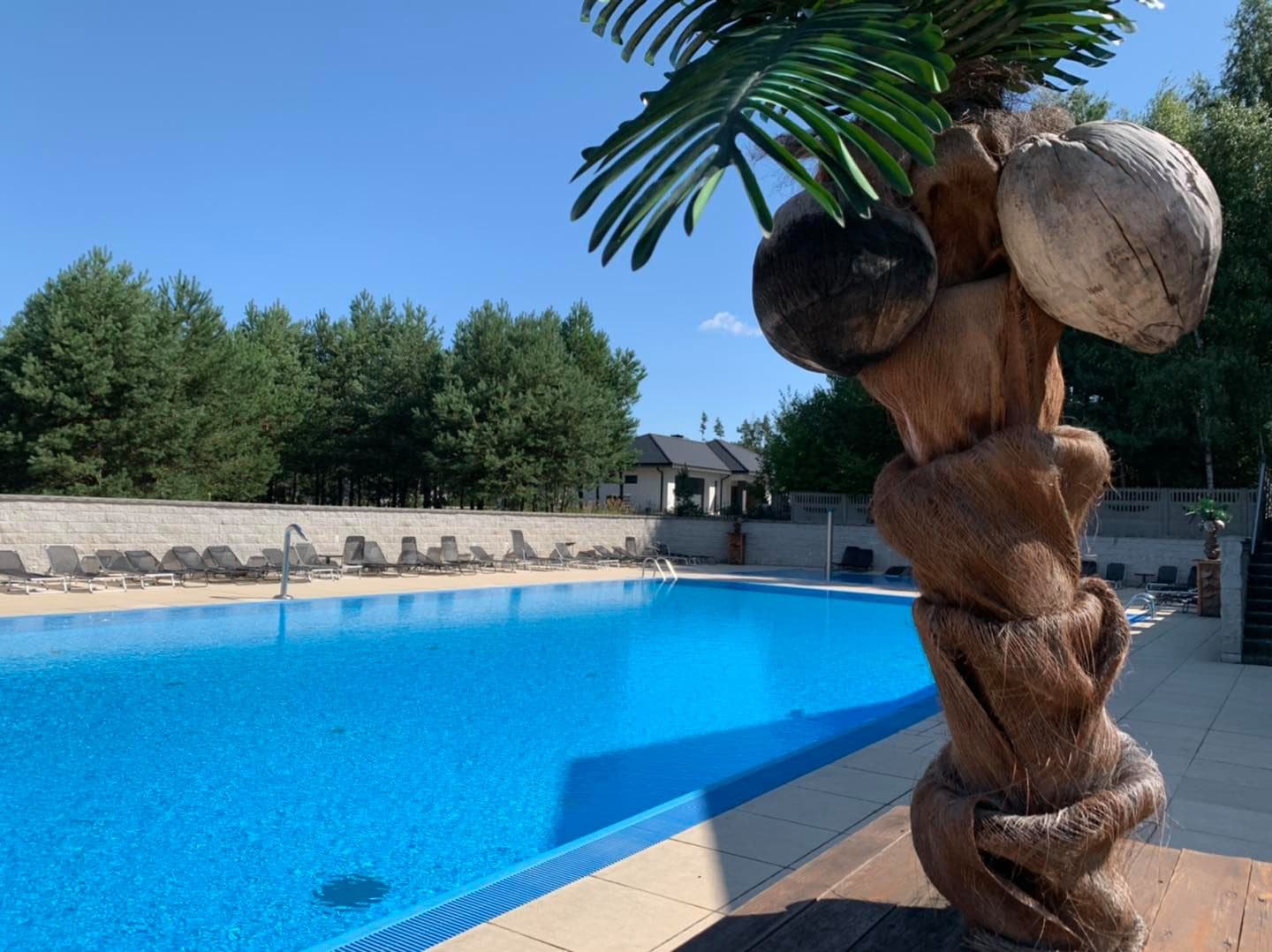 Hotel i SPA Arkadia