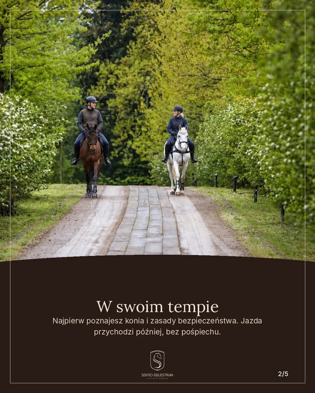 Sentio Equestrian