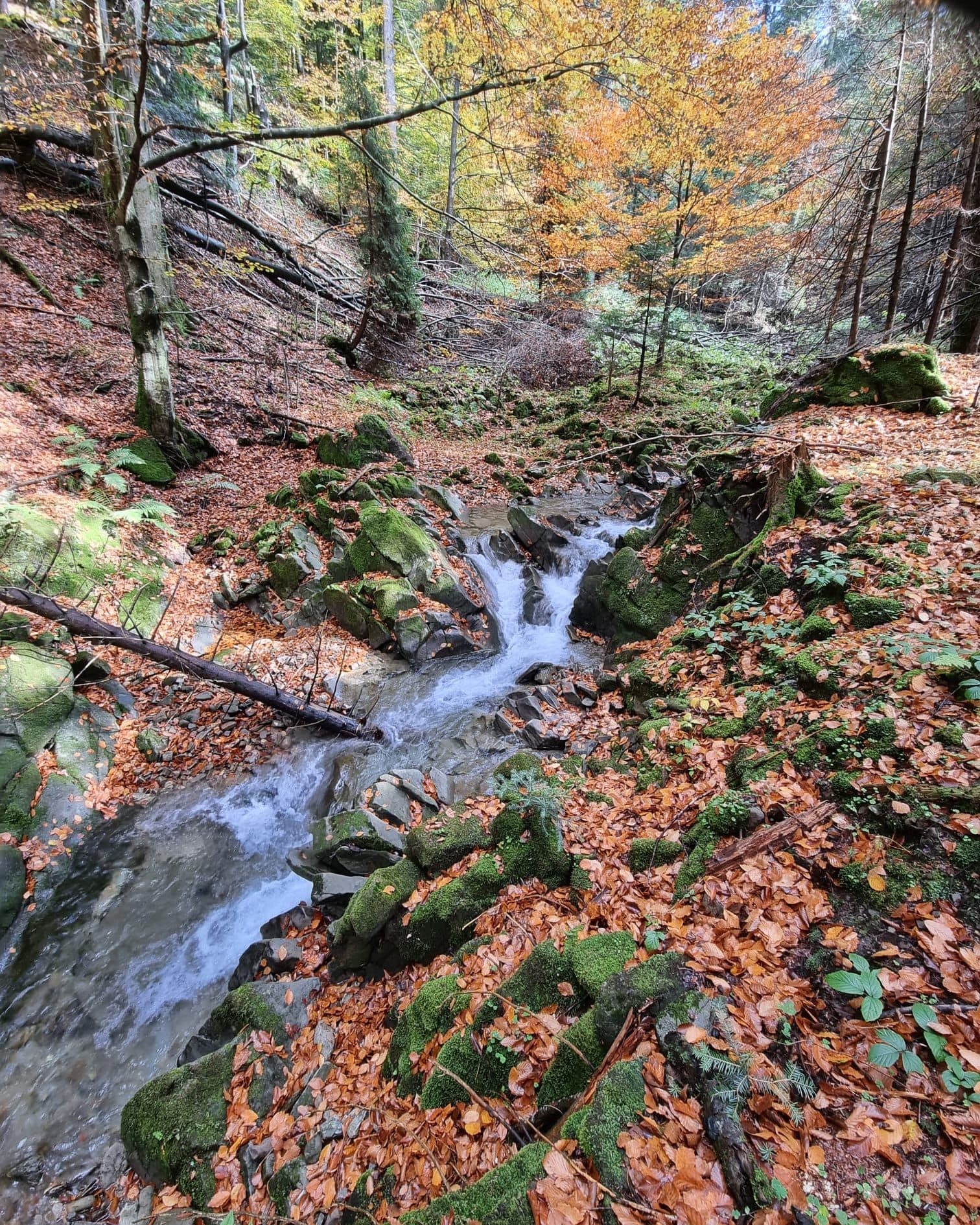 Gorczański Park Narodowy