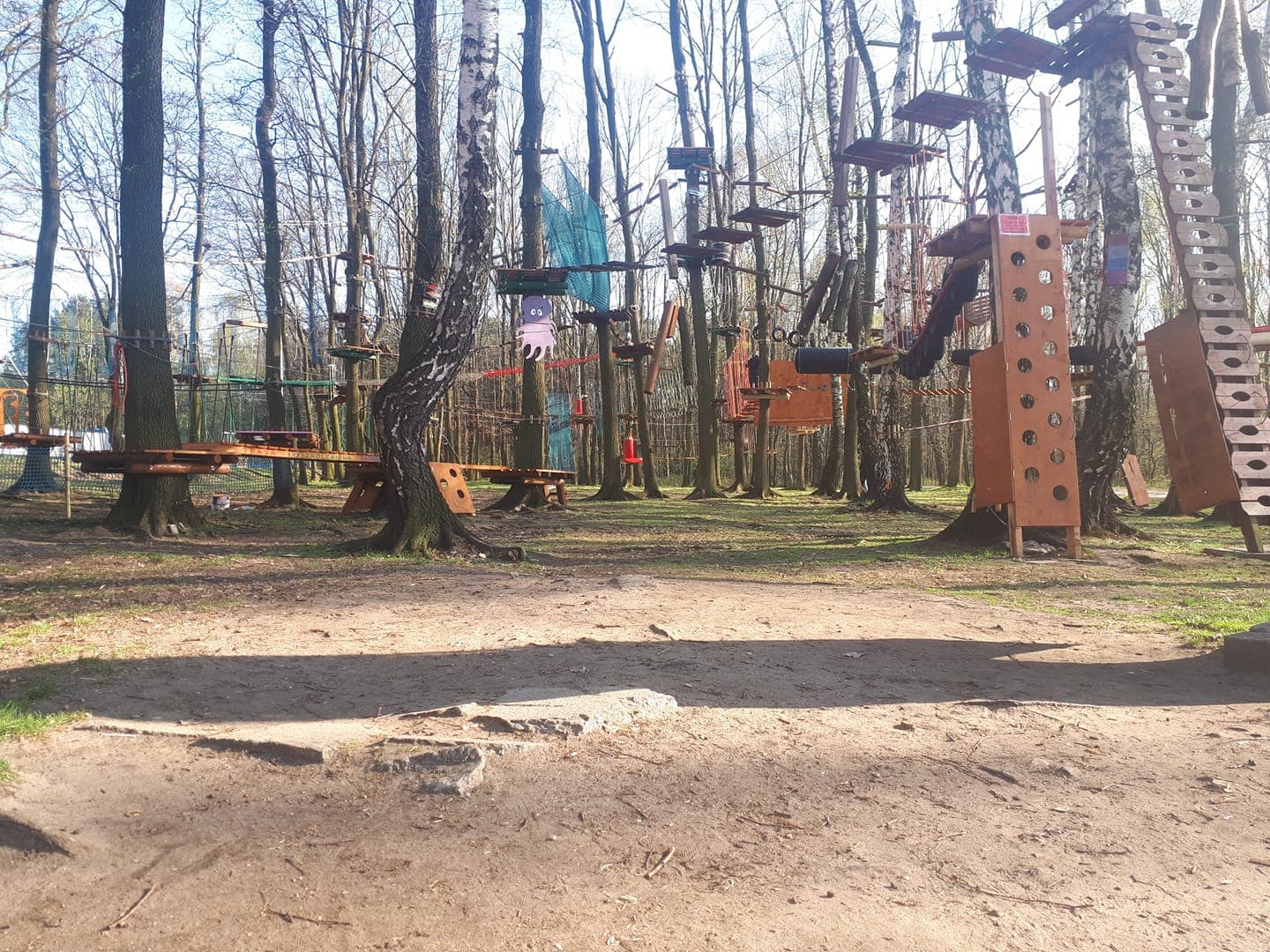 Park Linowy Paprocany