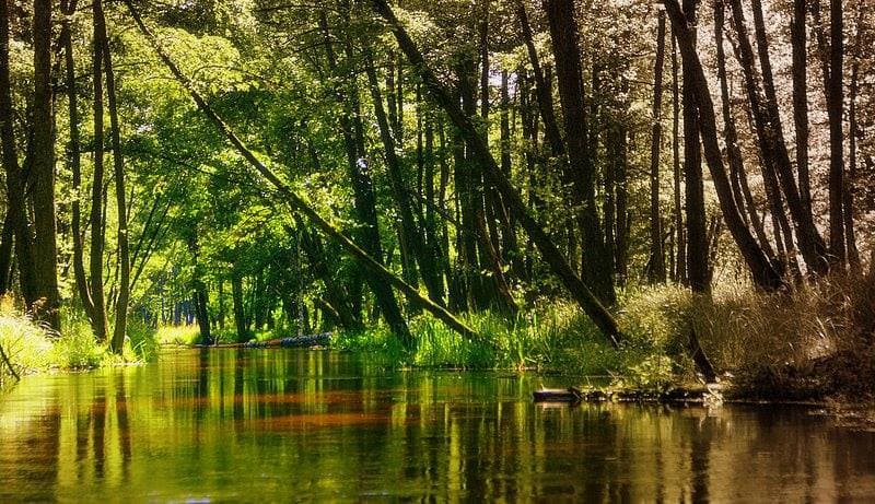 Słonik - Wypożyczalnia kanadyjek i kajaków