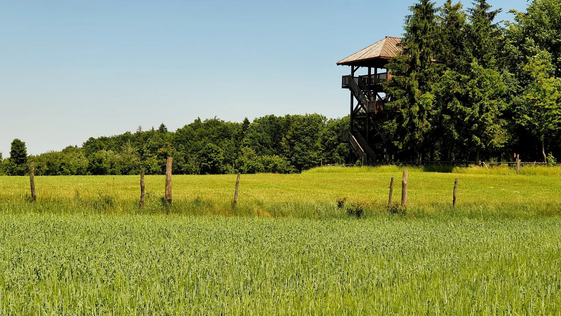 Mazury Zachodnie