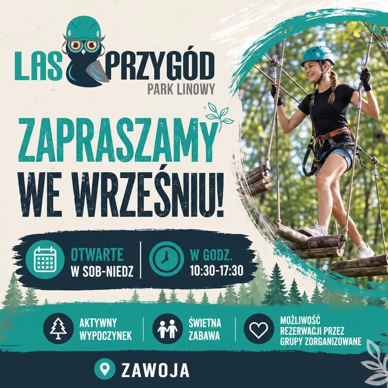 Park Linowy „Las Przygód”