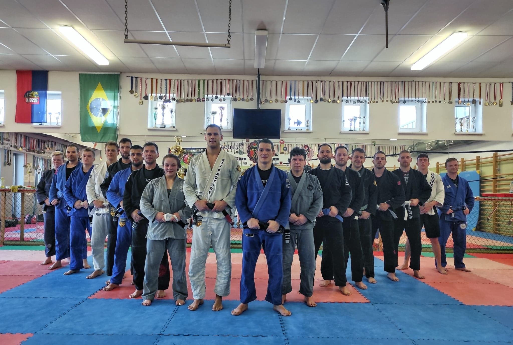 BJJ Factory