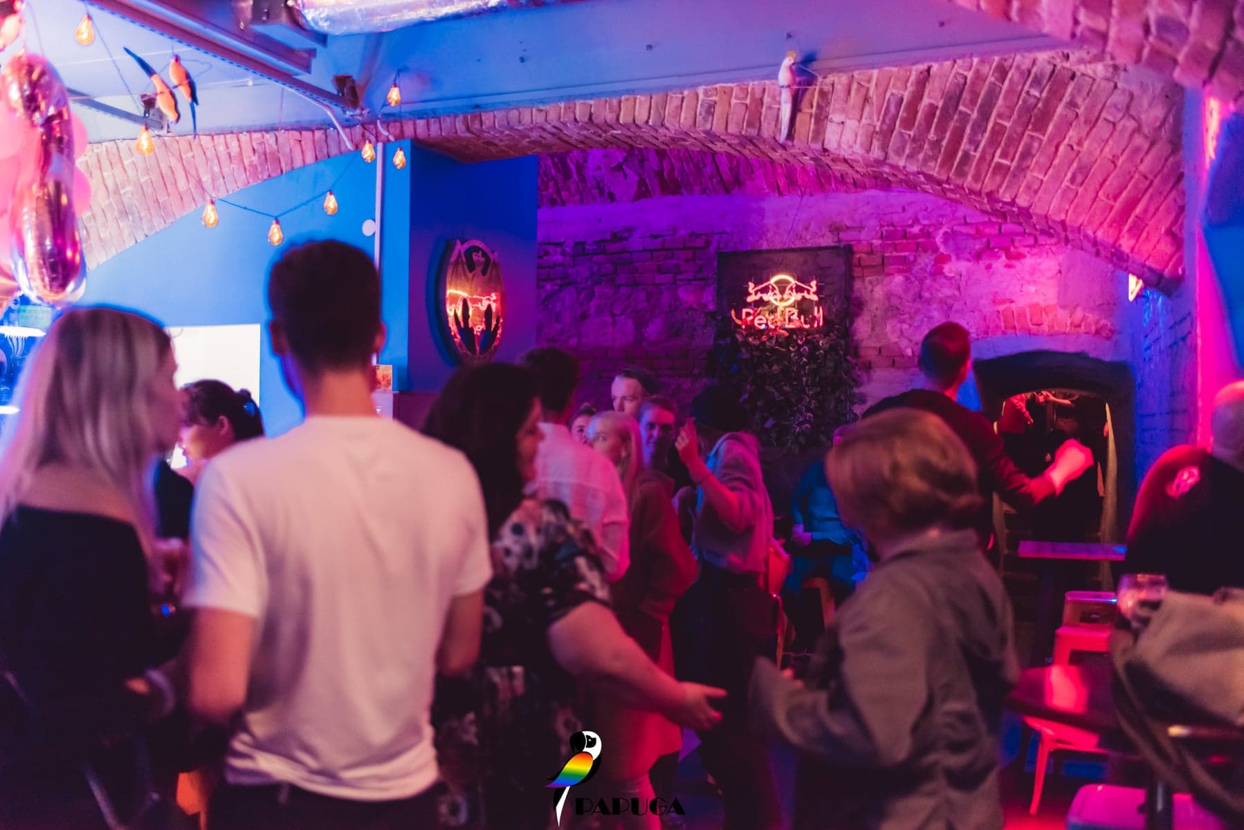 Club Papuga
