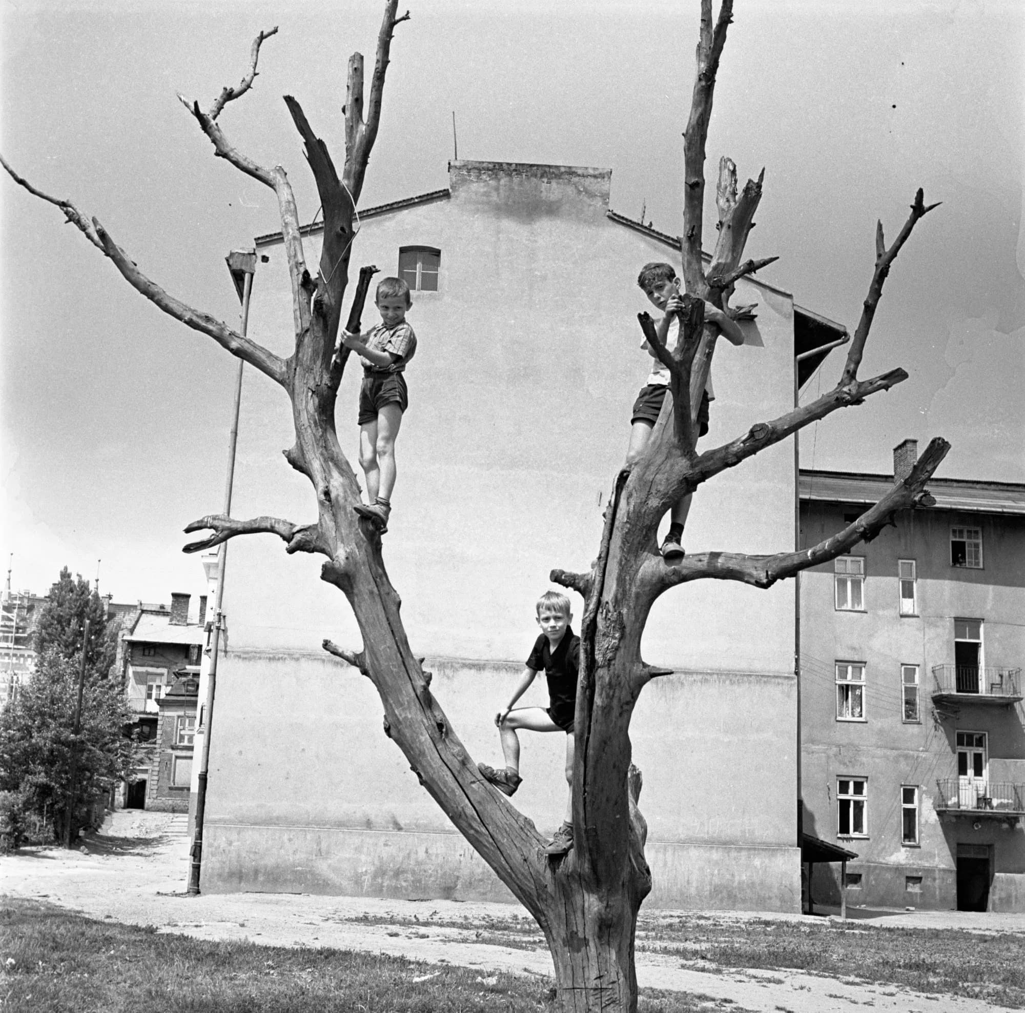 Cyfrowe Archiwum Galerii Fotografii Miasta Rzeszowa