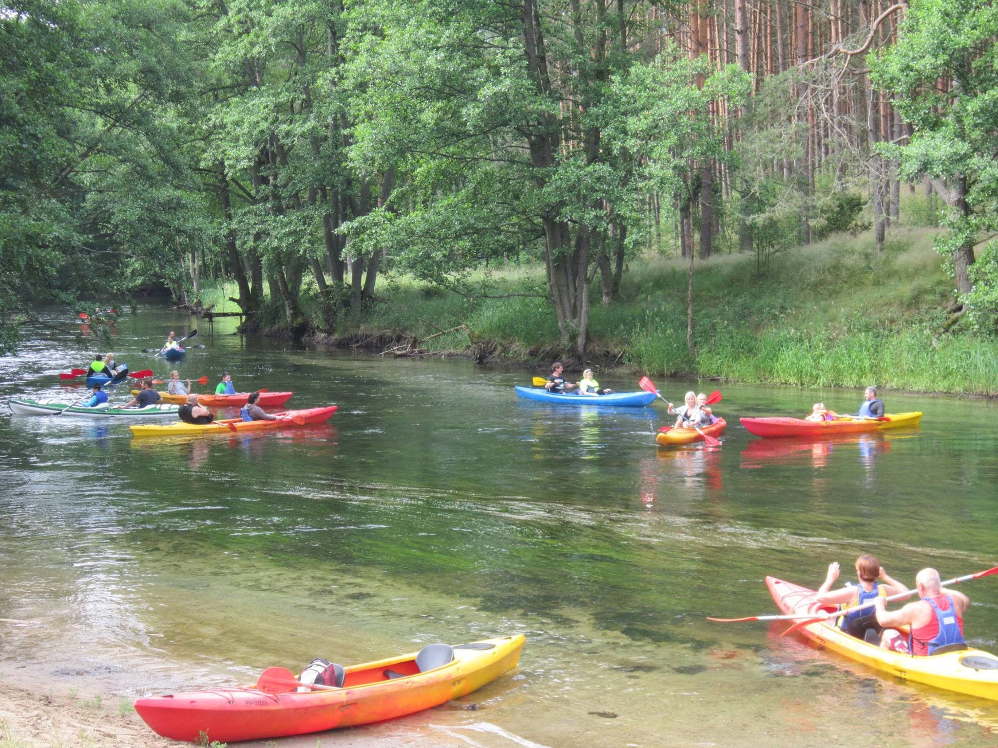 Spływy kajakowe Brdą