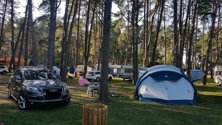 Pole namiotowe Leśna Polana