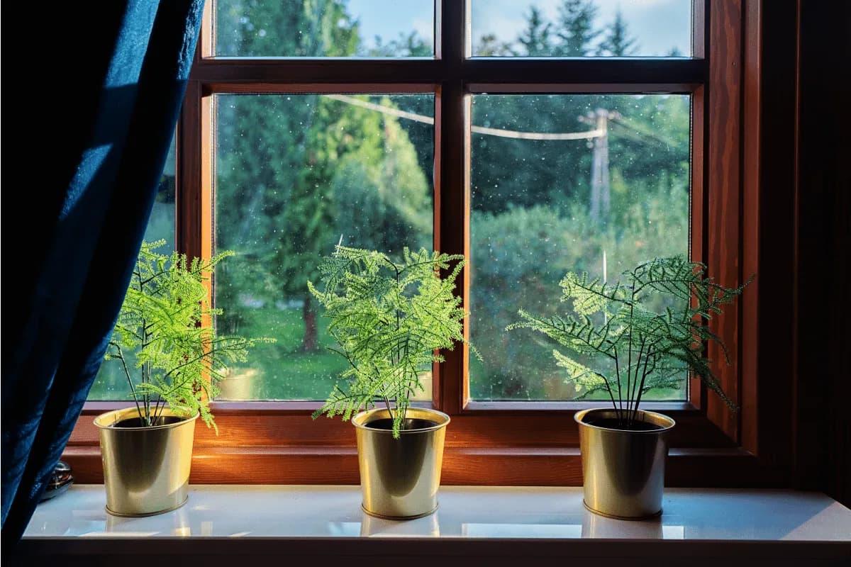 Rezydencja Julin Slow Life