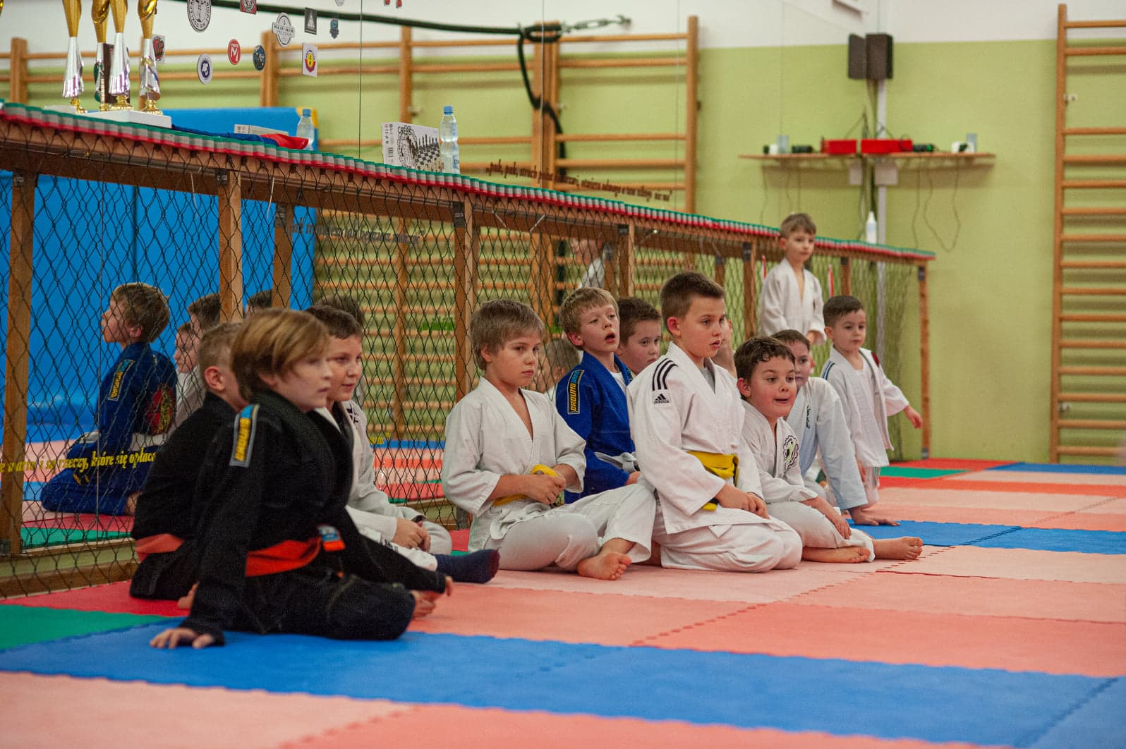 BJJ Factory