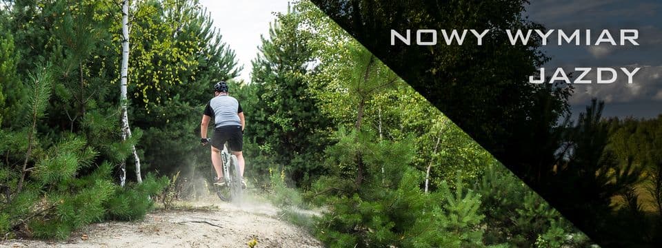 Electric Bike Rental