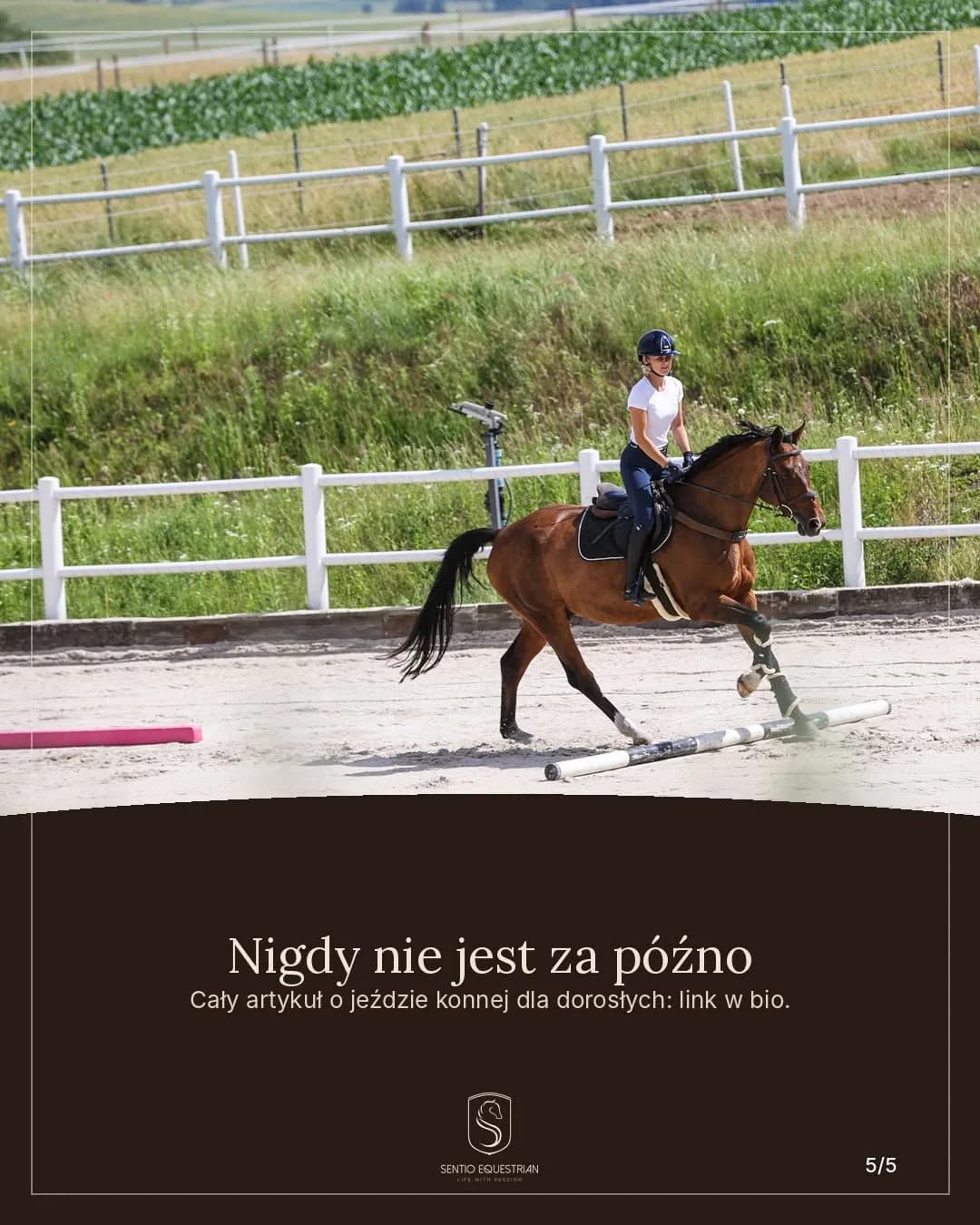 Sentio Equestrian