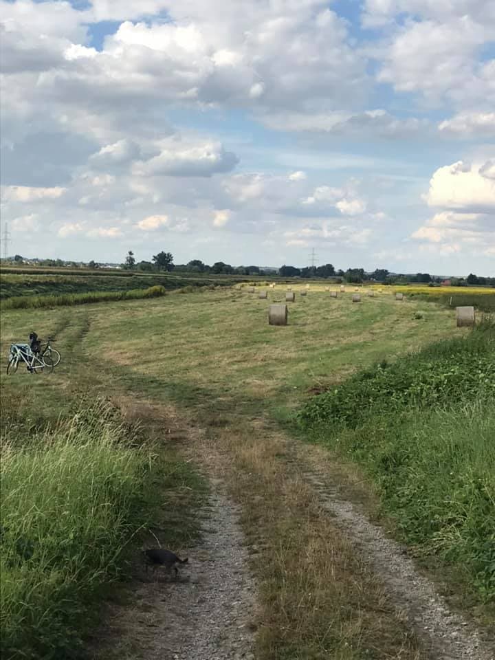 LET’S RIDE - wypożyczalnia sprzetu rekreacyjnego