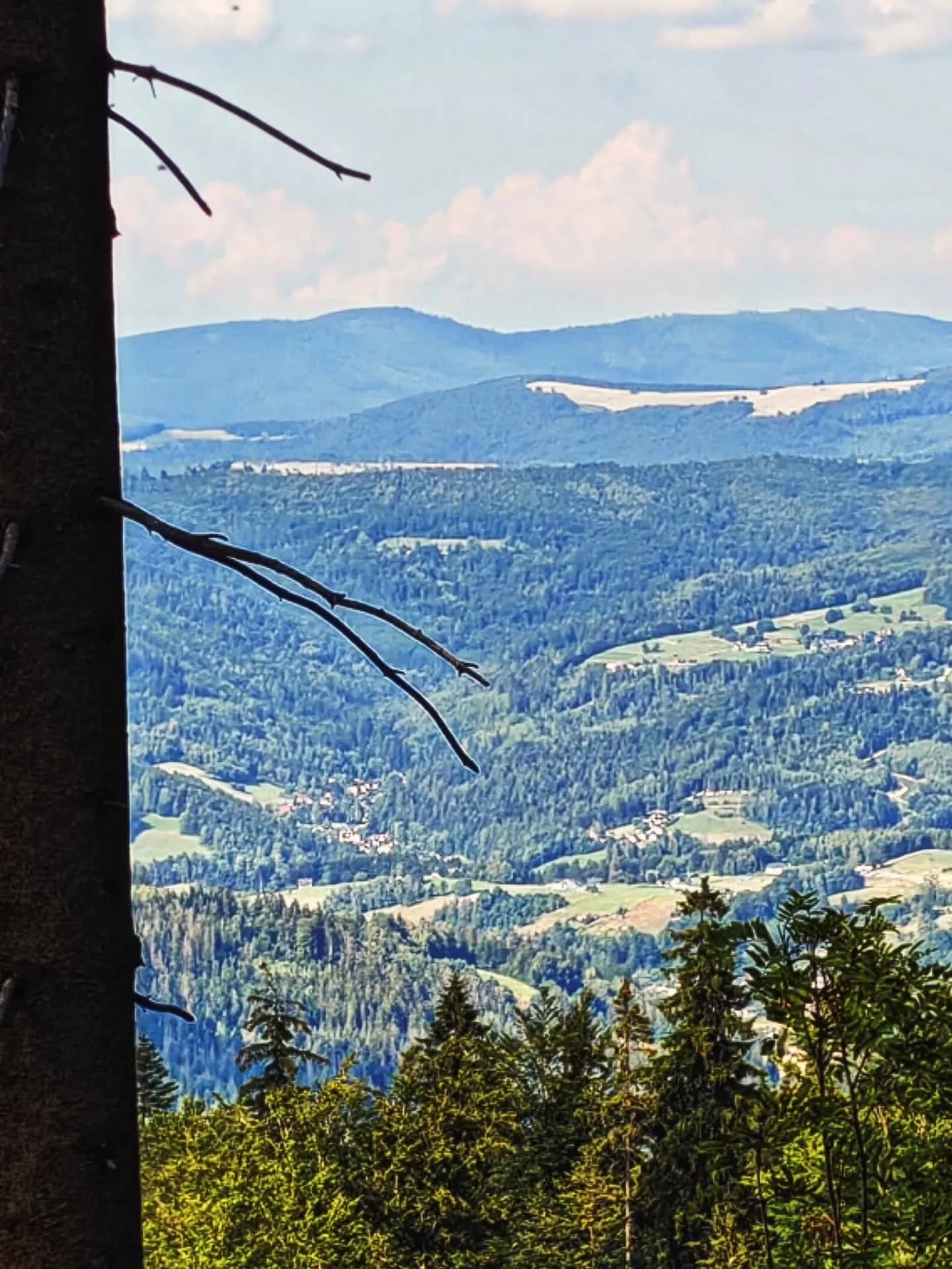 Bracia Bochenek - Przewodnicy Beskidzcy