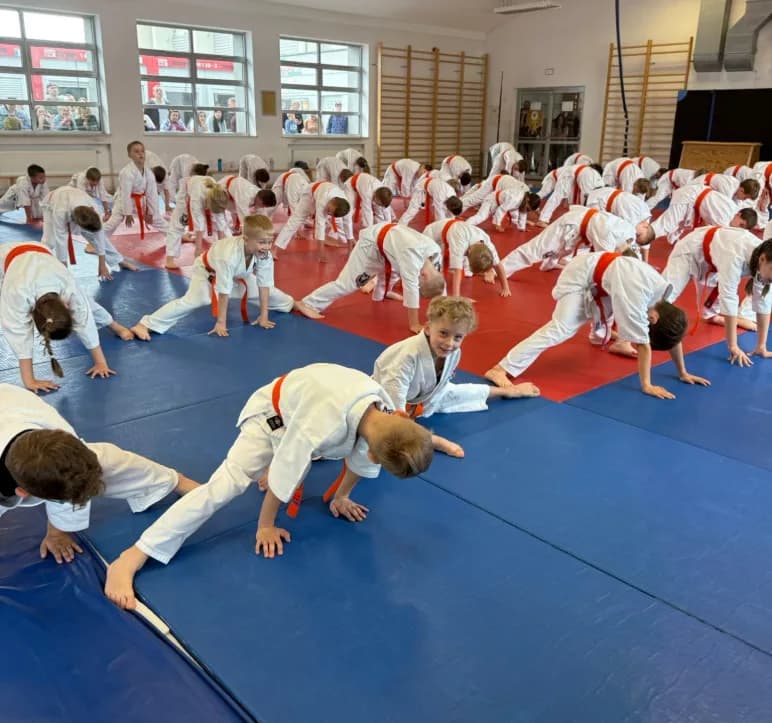 Myślenicka Akademia Karate "Byakko"