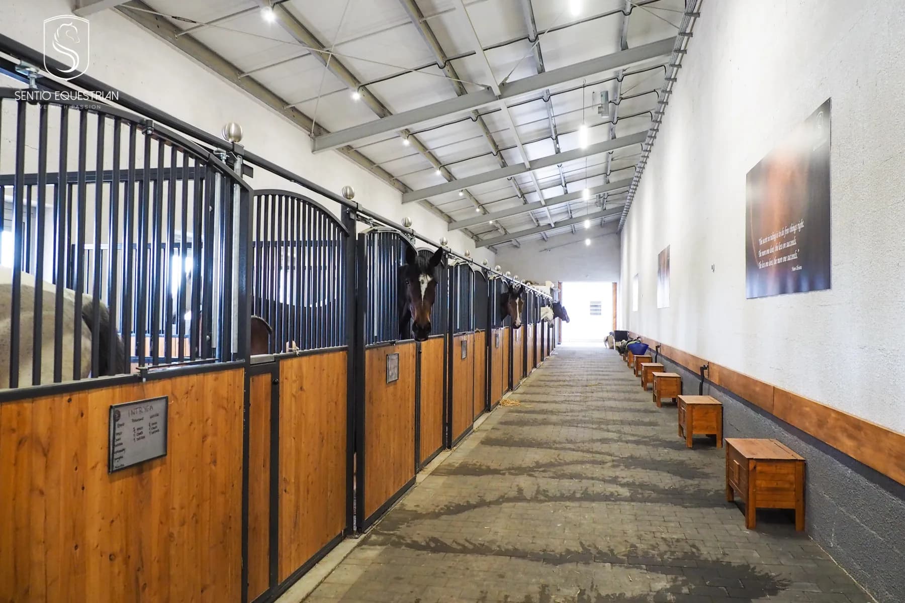Sentio Equestrian