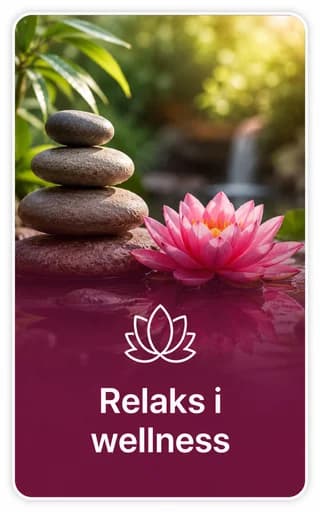 Relaxation and wellness