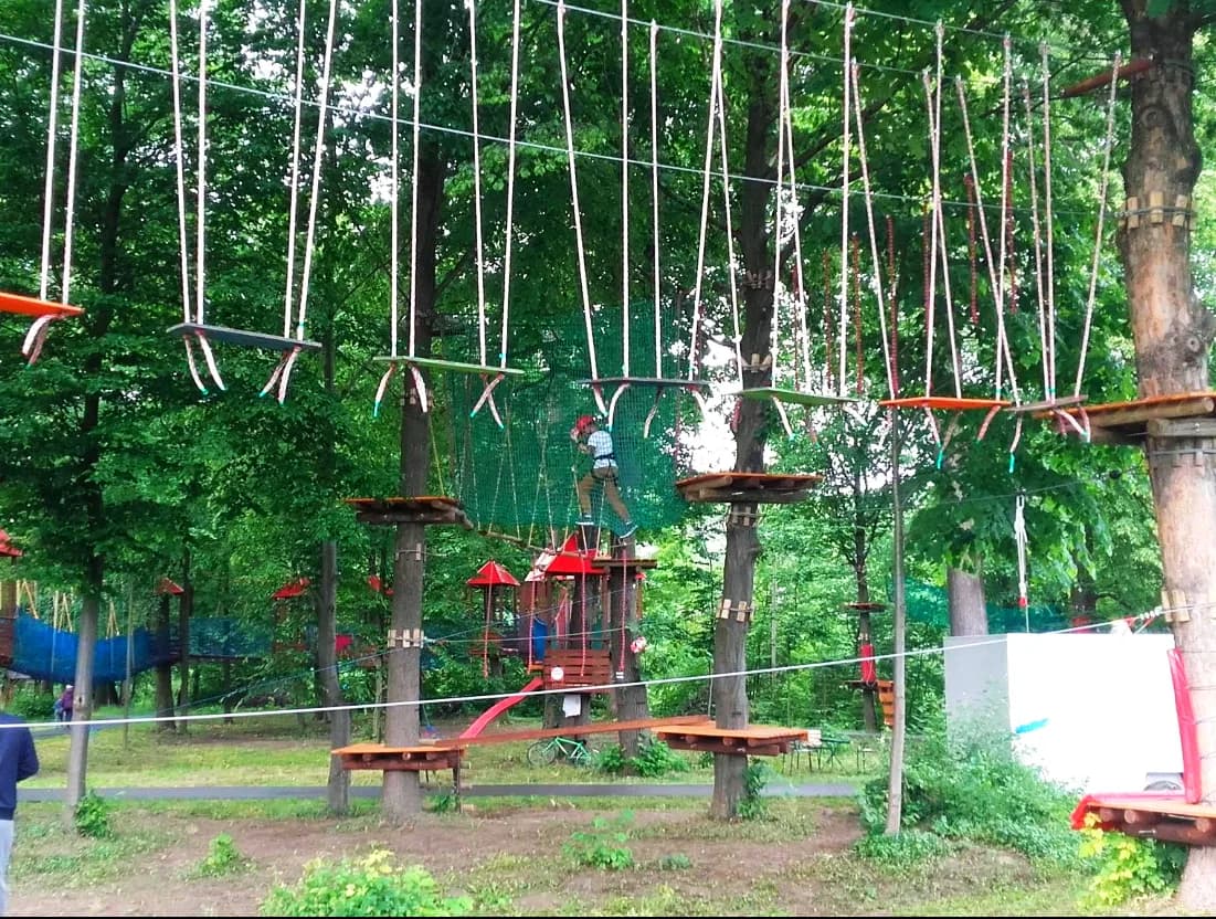 Park Linowy Siary